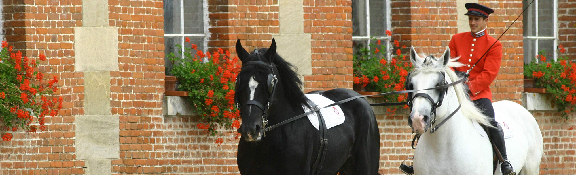 Norman Schweiz