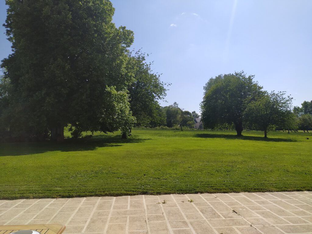 Se rensad på en grön park på den stora Crépon -gården, omgiven av träd och en solig himmel.